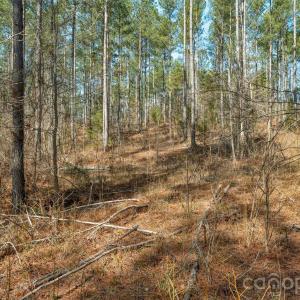 Photo #19 of Peacehaven, McConnells, SC