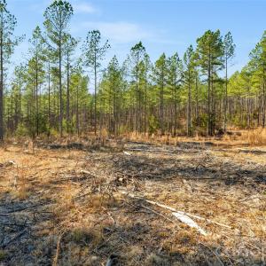 Photo #13 of Peacehaven, McConnells, SC