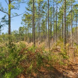 Photo #10 of Peacehaven, McConnells, SC