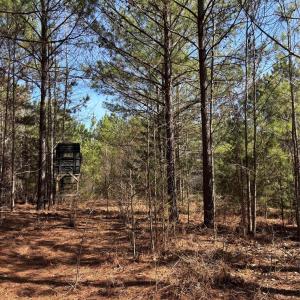 Photo #22 of 7.6 +/- Ac Pioneer, York, SC