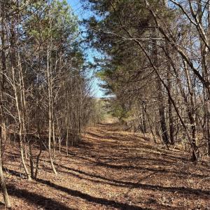 Photo #4 of 7.6 +/- Ac Pioneer, York, SC