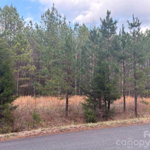 Photo #8 of 7.6 +/- Ac Pioneer, York, SC