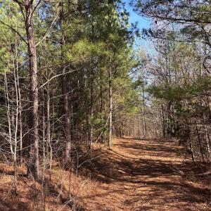 Photo #24 of 7.6 +/- Ac Pioneer, York, SC