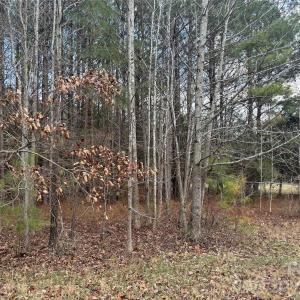 Photo #9 of 7.6 +/- Ac Pioneer, York, SC