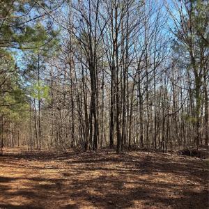 Photo #25 of 7.6 +/- Ac Pioneer, York, SC