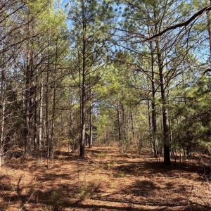 Photo #3 of 7.6 +/- Ac Pioneer, York, SC