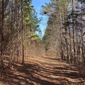 Photo #27 of 7.6 +/- Ac Pioneer, York, SC