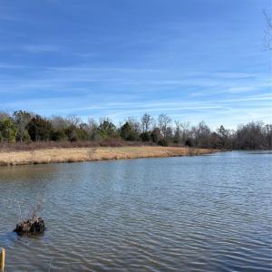 Photo #6 of 7.6 +/- Ac Pioneer, York, SC