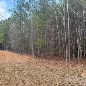 Photo #7 of 7.6 +/- Ac Pioneer, York, SC
