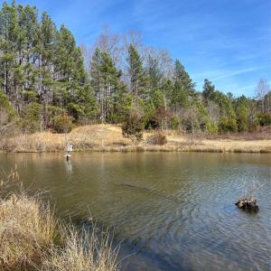 Photo #28 of 7.6 +/- Ac Pioneer, York, SC