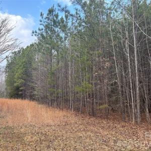 Photo #17 of 7.6 +/- Ac Pioneer, York, SC