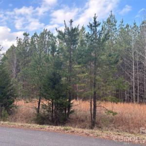 Photo #13 of 7.6 +/- Ac Pioneer, York, SC