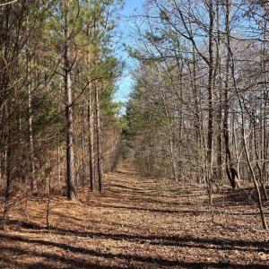 Photo #26 of 7.6 +/- Ac Pioneer, York, SC