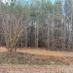 Photo #16 of 7.6 +/- Ac Pioneer, York, SC