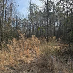 Photo #1 of 364 Longhorn, Cheraw, SC