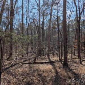 Photo #4 of 489 & 491 Mimosa, Rock Hill, SC