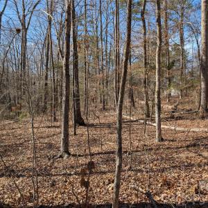 Photo #7 of 489 & 491 Mimosa, Rock Hill, SC