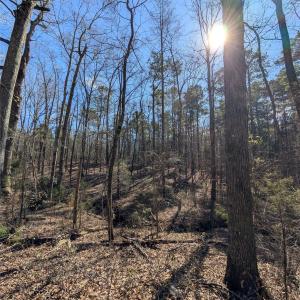 Photo #10 of 489 & 491 Mimosa, Rock Hill, SC