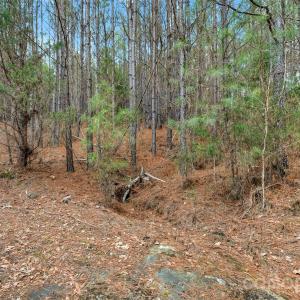 Photo #42 of Woods Ferry, Carlisle, SC