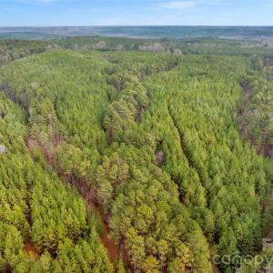 Photo #18 of Woods Ferry, Carlisle, SC