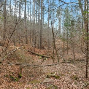 Photo #5 of Woods Ferry, Carlisle, SC