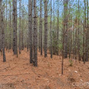 Photo #27 of Woods Ferry, Carlisle, SC