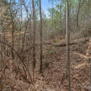 Photo #13 of Woods Ferry, Carlisle, SC