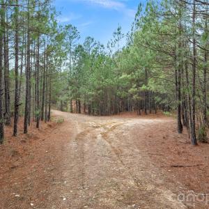 Photo #30 of Woods Ferry, Carlisle, SC