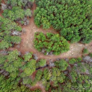 Photo #19 of Woods Ferry, Carlisle, SC