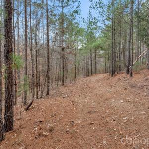 Photo #40 of Woods Ferry, Carlisle, SC