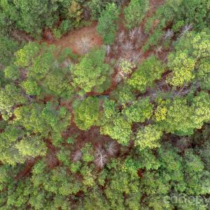 Photo #47 of Woods Ferry, Carlisle, SC