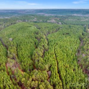 Photo #17 of Woods Ferry, Carlisle, SC