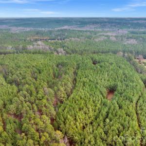 Photo #20 of Woods Ferry, Carlisle, SC