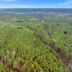 Photo #37 of Woods Ferry, Carlisle, SC