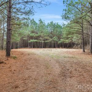 Photo #2 of Woods Ferry, Carlisle, SC