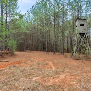 Photo #21 of Woods Ferry, Carlisle, SC