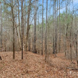 Photo #43 of Woods Ferry, Carlisle, SC