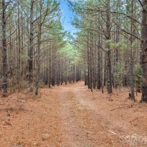 Photo #41 of Woods Ferry, Carlisle, SC