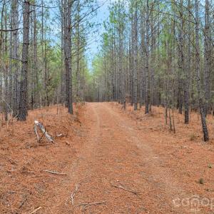 Photo #26 of Woods Ferry, Carlisle, SC