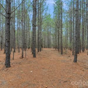 Photo #10 of Woods Ferry, Carlisle, SC