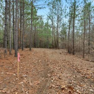 Photo #31 of Woods Ferry, Carlisle, SC