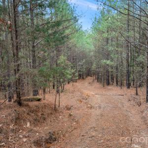 Photo #29 of Woods Ferry, Carlisle, SC