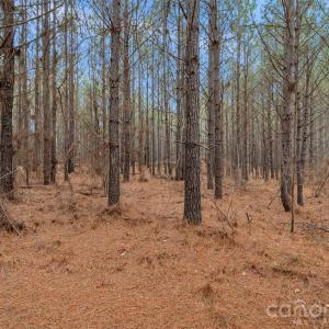 Photo #38 of Woods Ferry, Carlisle, SC