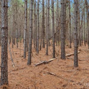 Photo #28 of Woods Ferry, Carlisle, SC