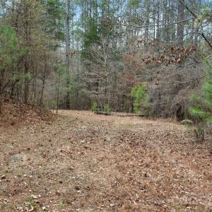 Photo #14 of Woods Ferry, Carlisle, SC