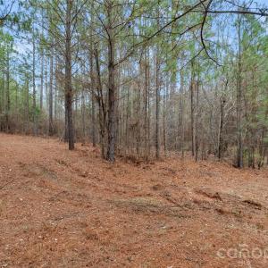 Photo #25 of Woods Ferry, Carlisle, SC