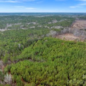 Photo #48 of Woods Ferry, Carlisle, SC