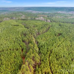 Photo #34 of Woods Ferry, Carlisle, SC