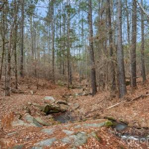 Photo #15 of Woods Ferry, Carlisle, SC