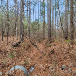 Photo #24 of Woods Ferry, Carlisle, SC